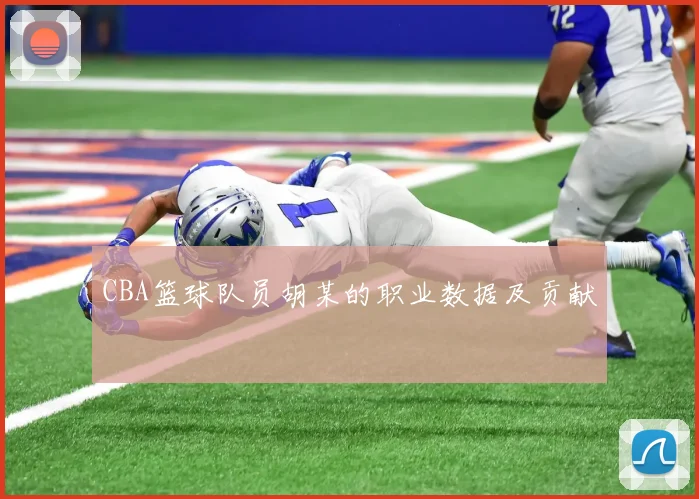 CBA篮球队员胡某的职业数据及贡献