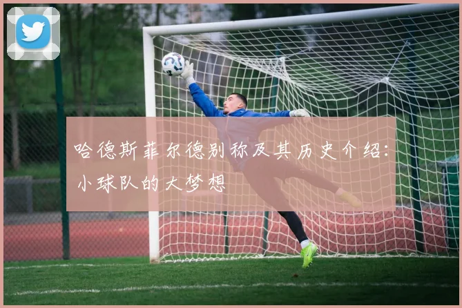 哈德斯菲尔德别称及其历史介绍：小球队的大梦想