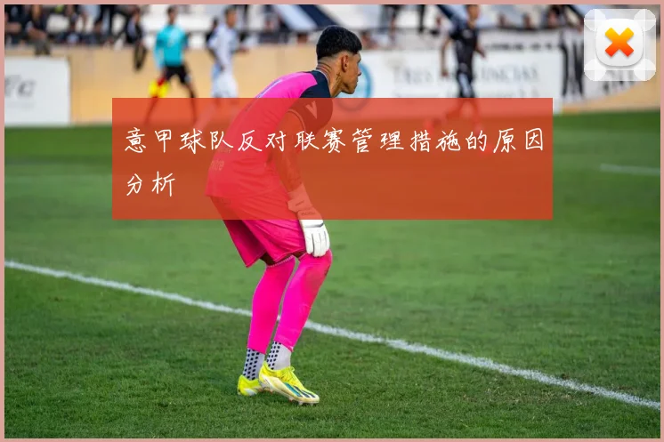 意甲球队反对联赛管理措施的原因分析