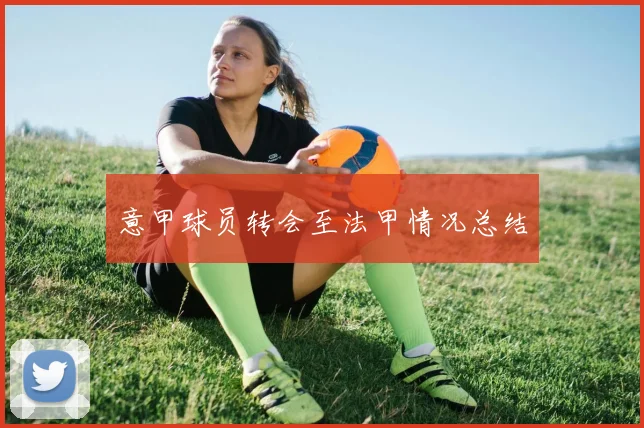 意甲球员转会至法甲情况总结