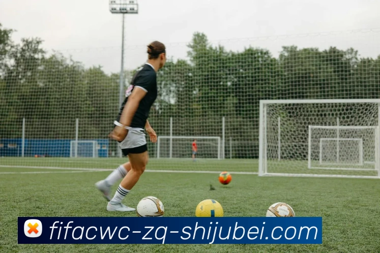 世界杯直播品牌故事